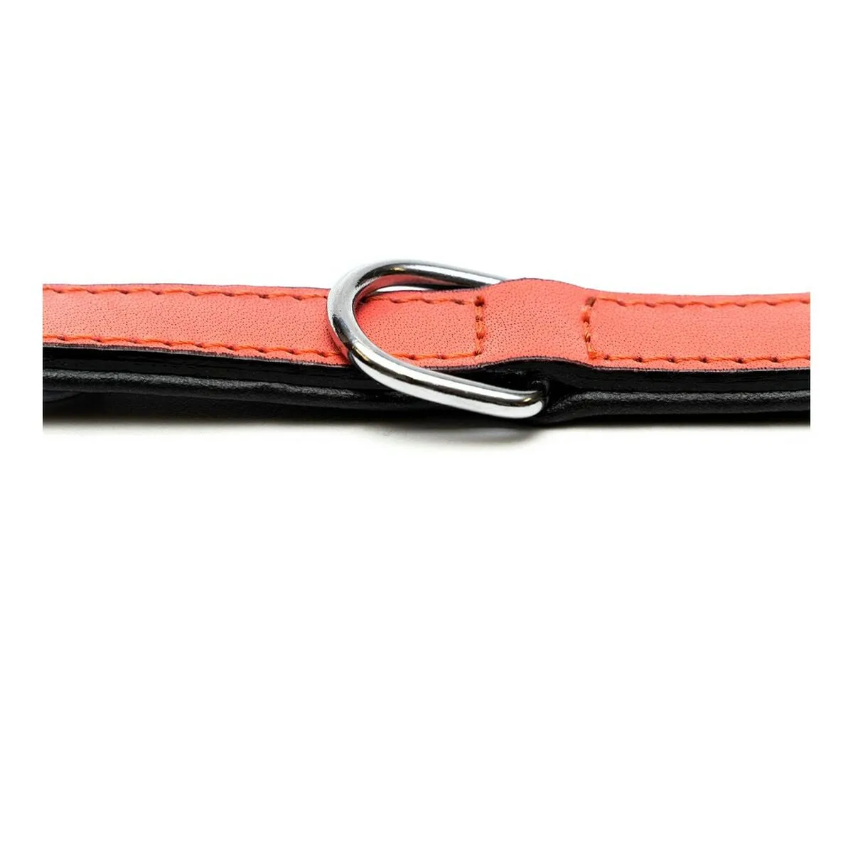 Dog collar Gloria Padded Coral (55 x 2,5 cm)