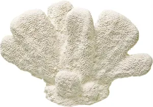 Exotic Environments® Cat's Paw Coral