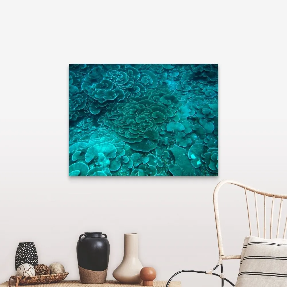 "Cabbage coral reef" Canvas Wall Art