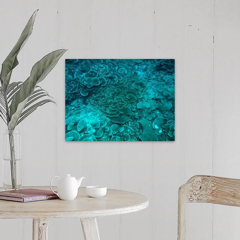 "Cabbage coral reef" Canvas Wall Art