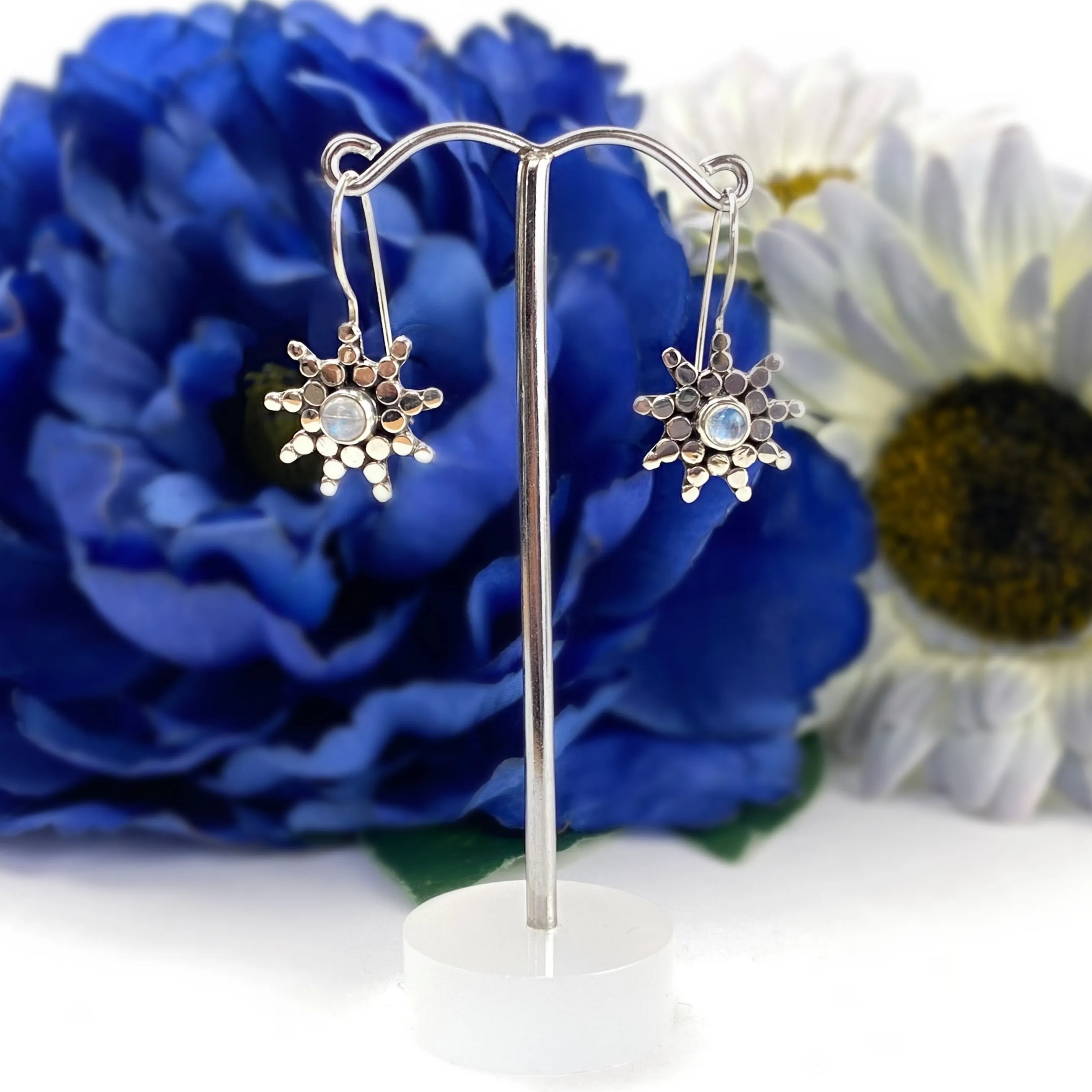 Radiance Earrings - VE278RM