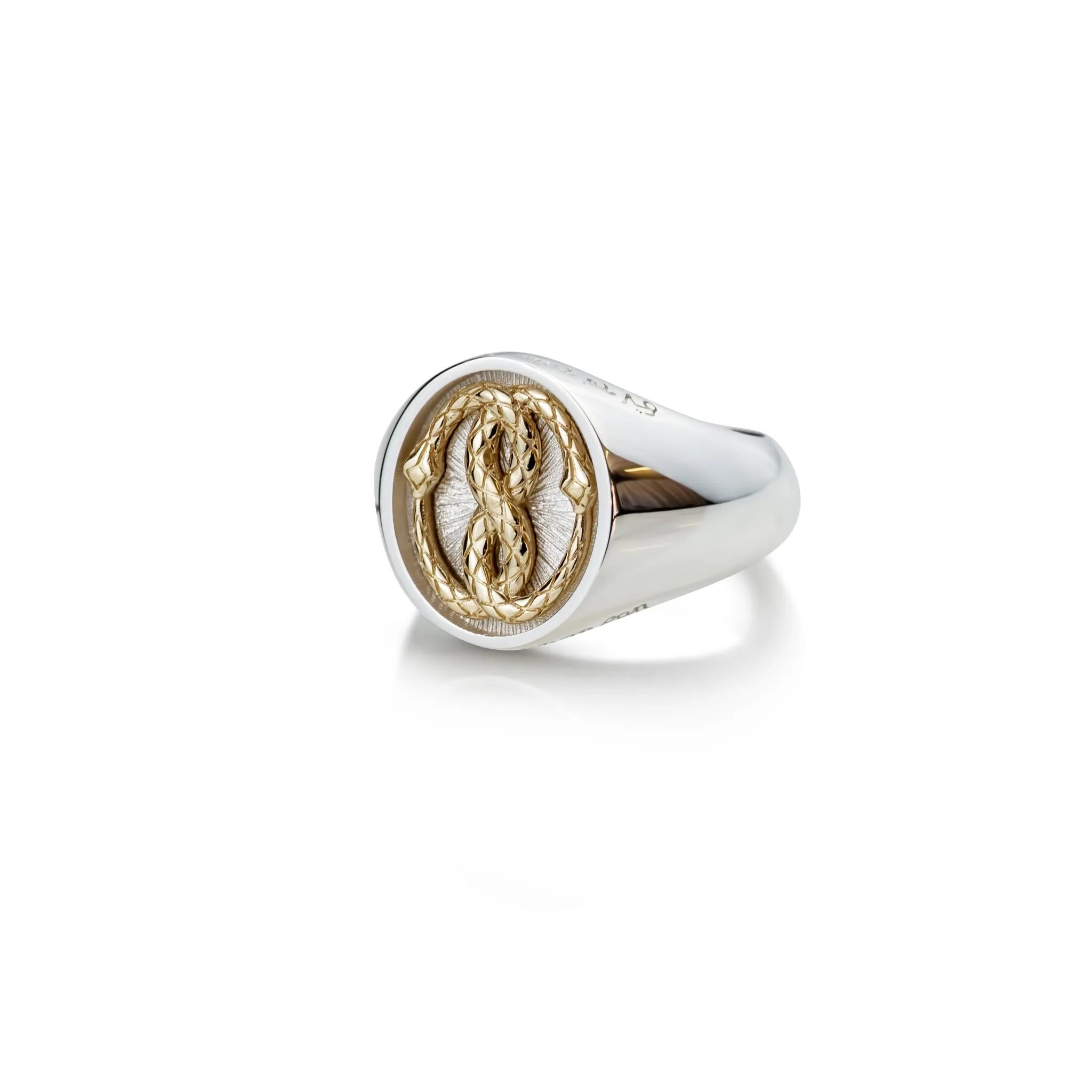 The Gold Ouroboros Ring