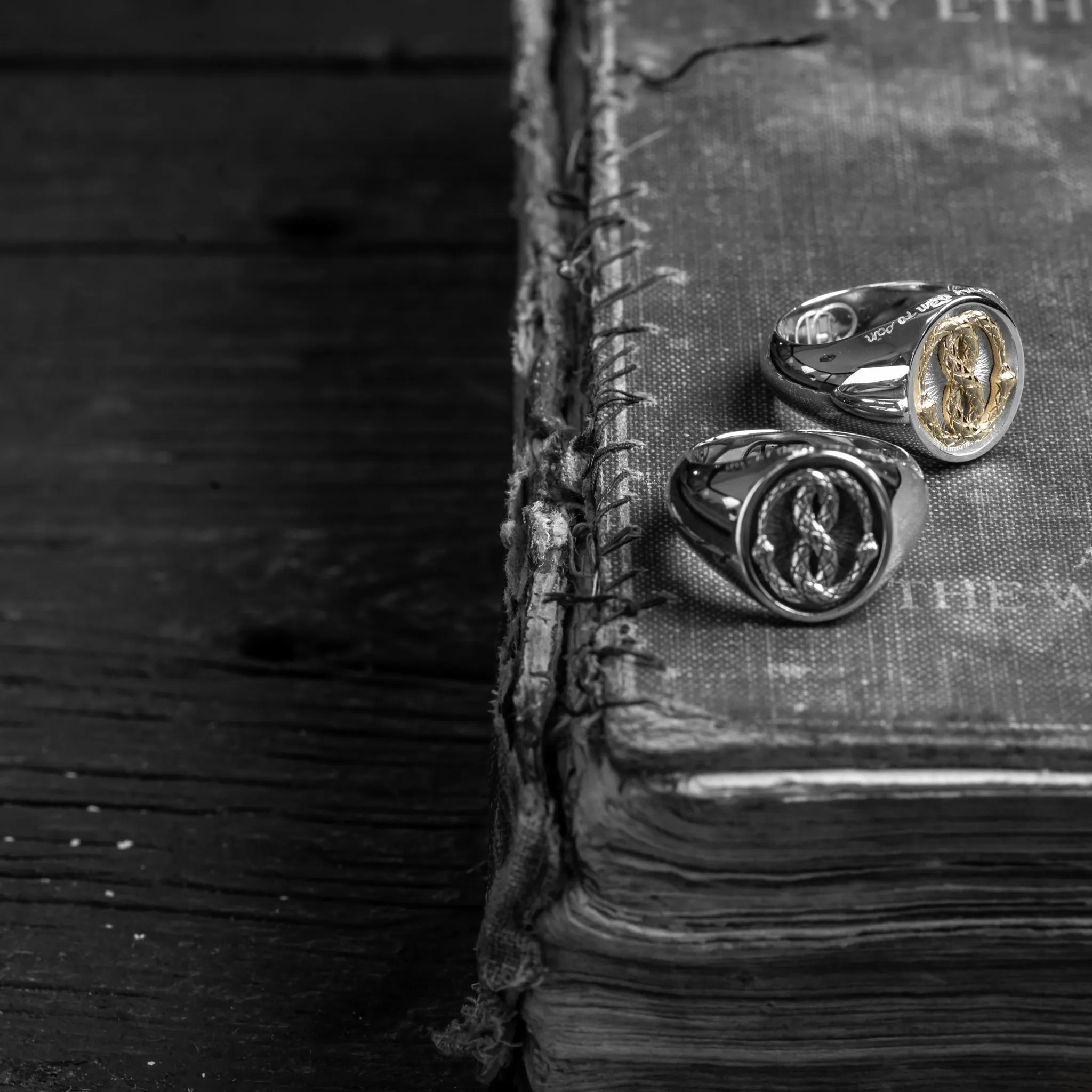 The Gold Ouroboros Ring